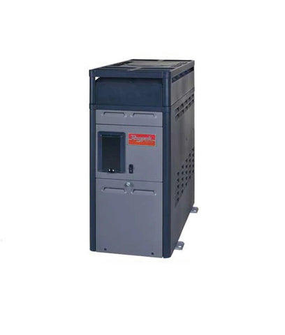 Calentador Raypak P-R156 E Gas Propano